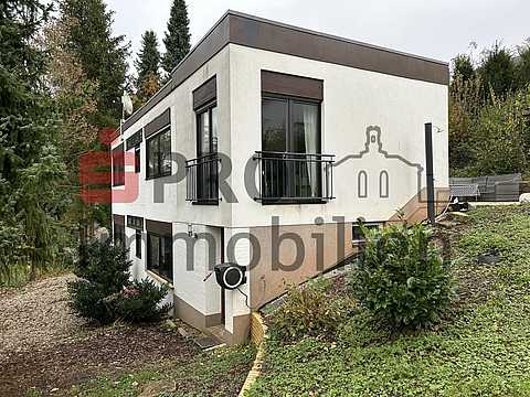 Ansicht Gartenseite