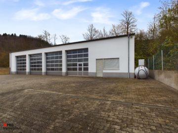 Top gepflegte Gewerbeimmobilie, 66346 Püttlingen, Lager